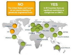 The United States and Canada are the only two countries in the world approved to use genetically modified organisms in agriculture practices.