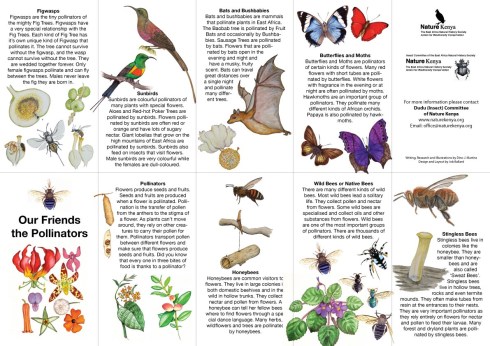 pollinator-guide-brochure